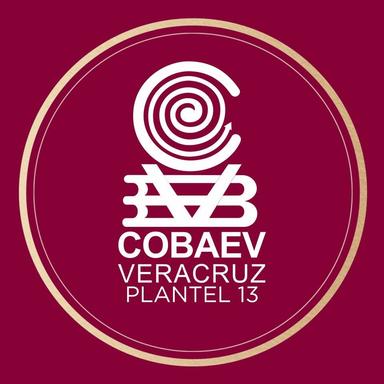 COBAEV 13 Playa Vicente