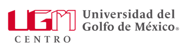 UGM Playa Vicente